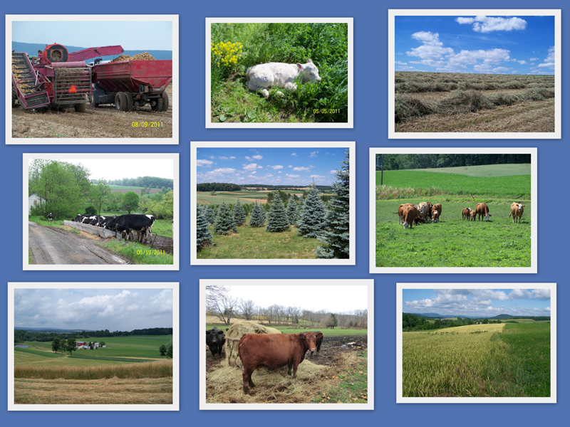 Agricultural Land Preservation Home