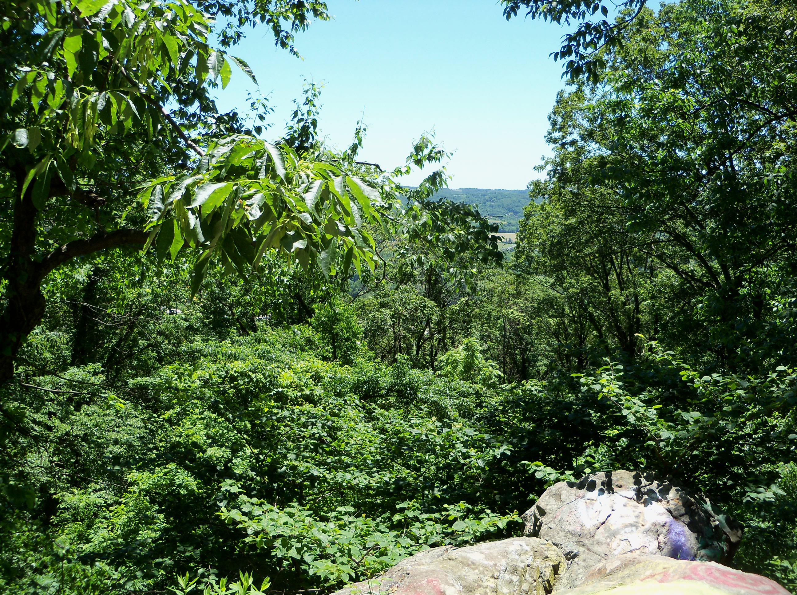 View From Big Rock Park