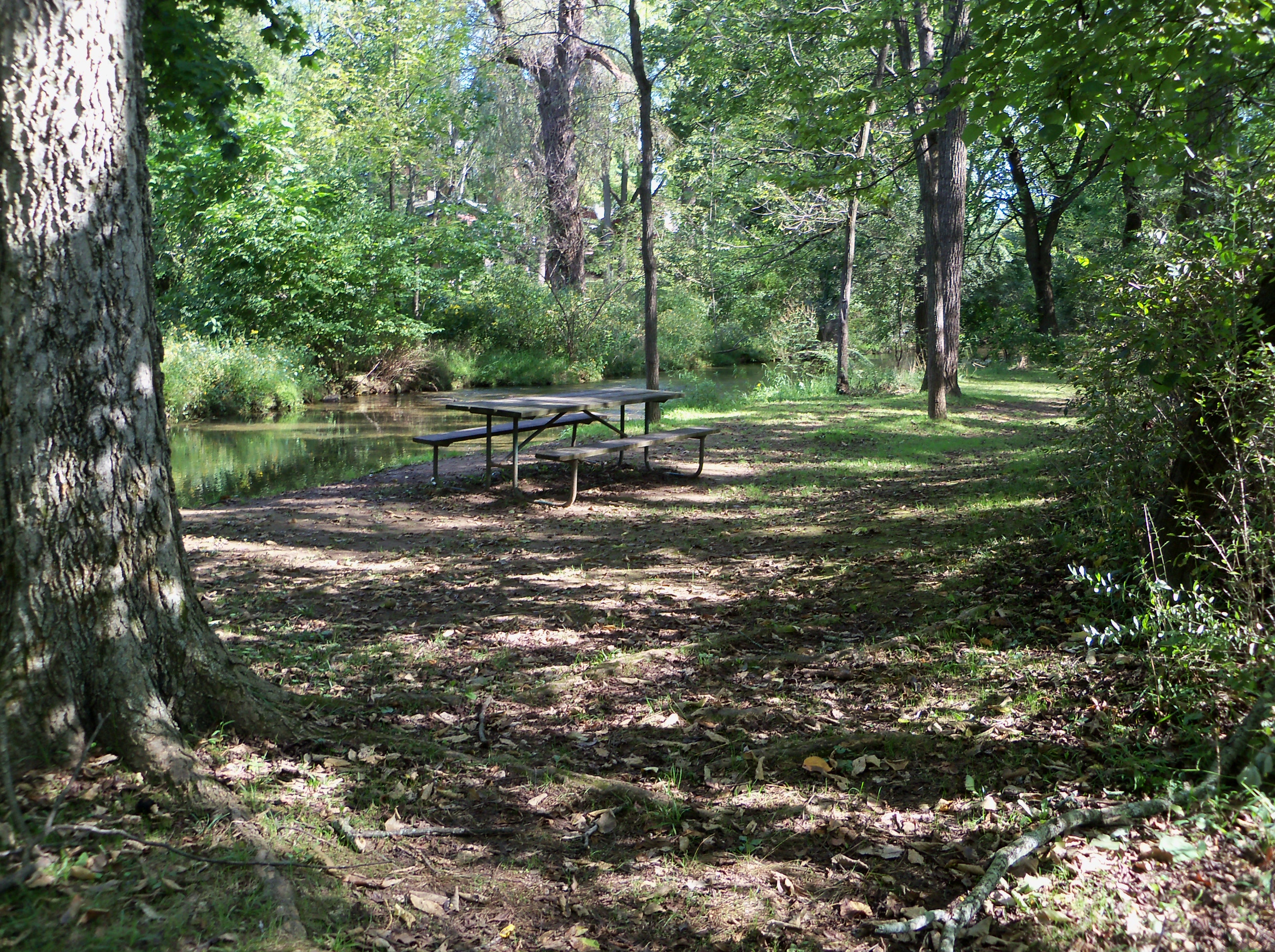 Creekside picnic table