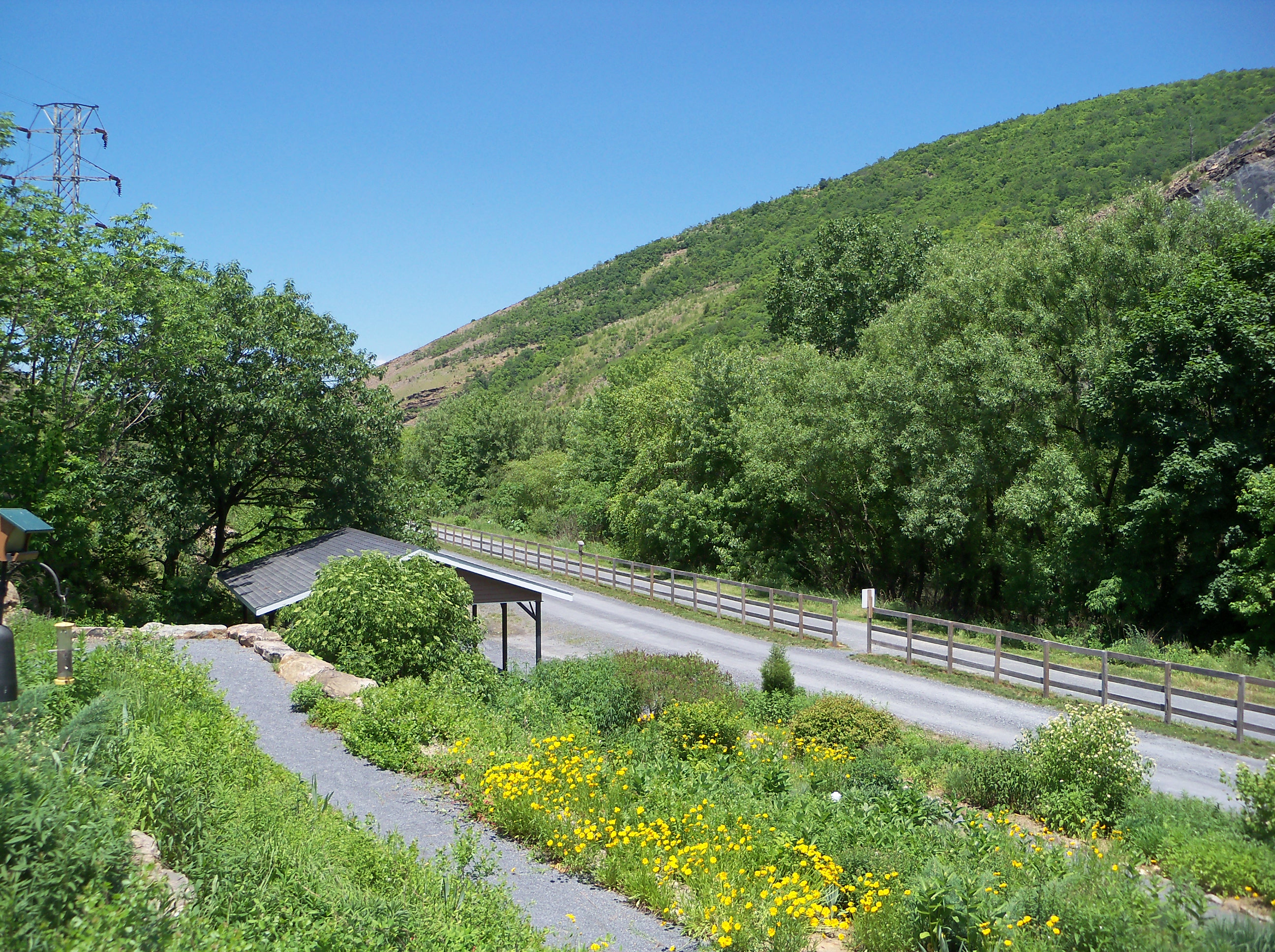 walking trail and pavilion 