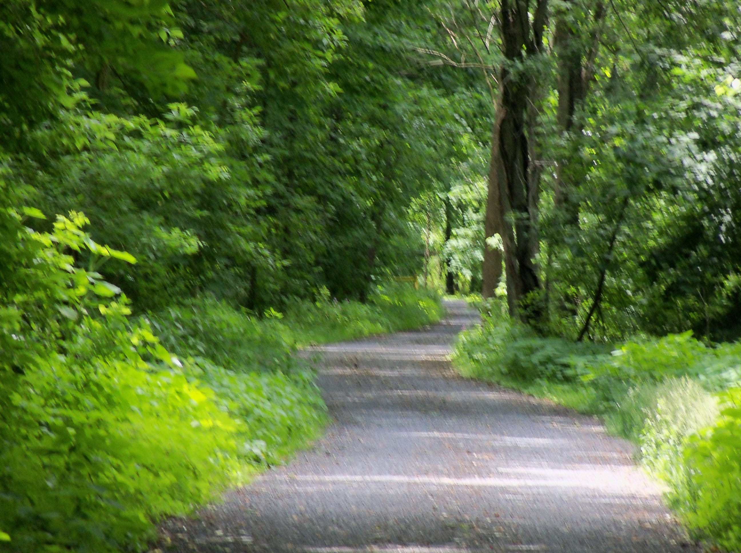 walking trail