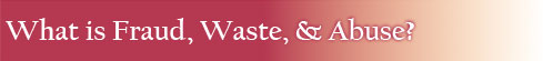 What is Fraud Header